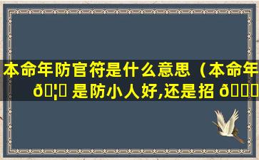 本命年防官符是什么意思（本命年 🦆 是防小人好,还是招 🐛 财好）